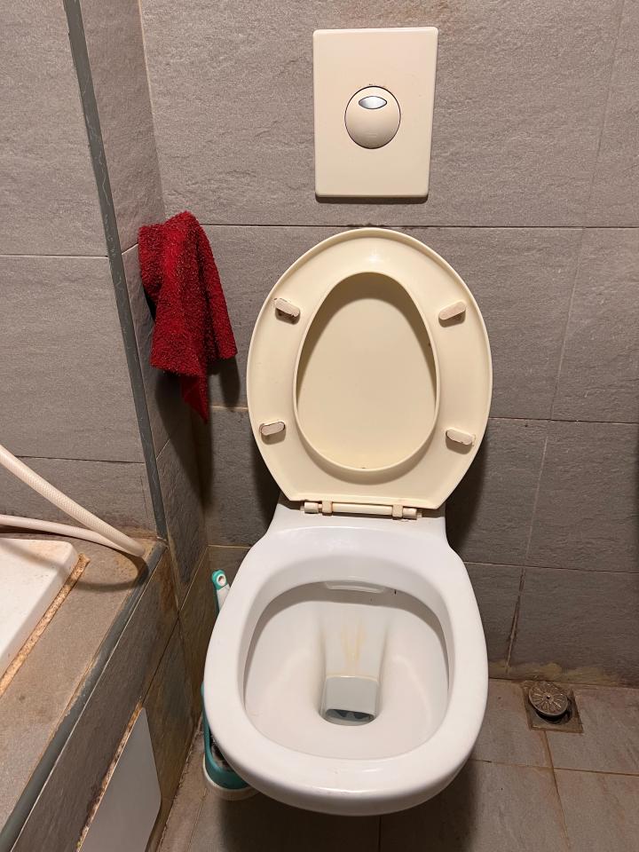 馬桶裝修案件圖片