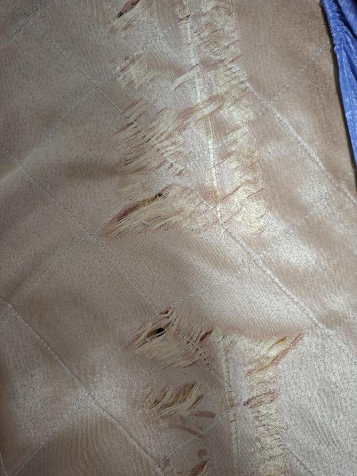 床墊維修案件圖片