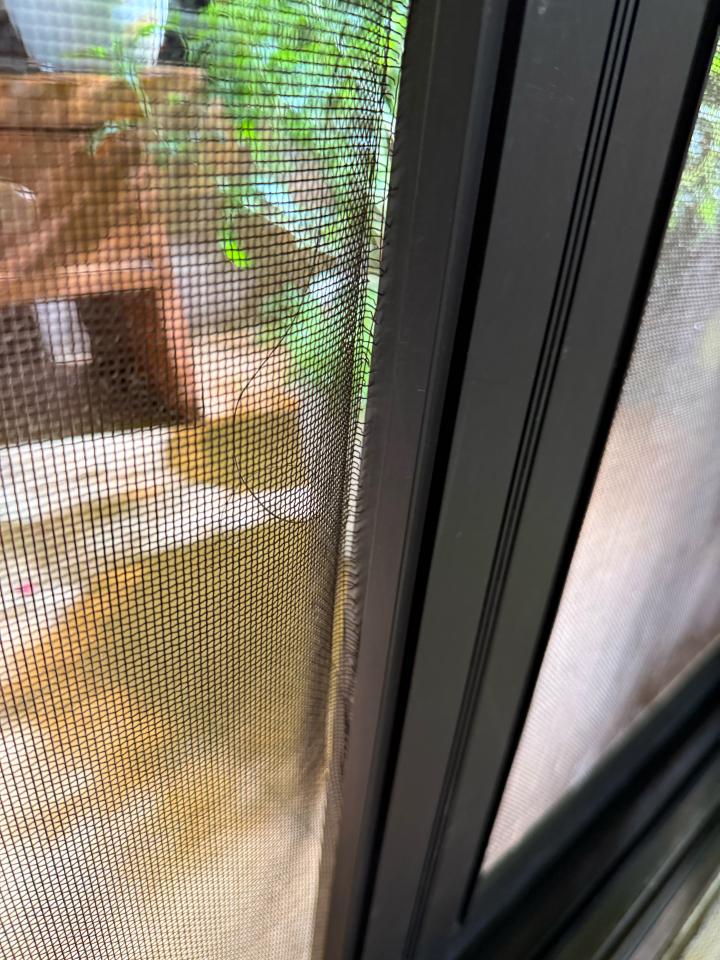 紗窗裝修案件圖片