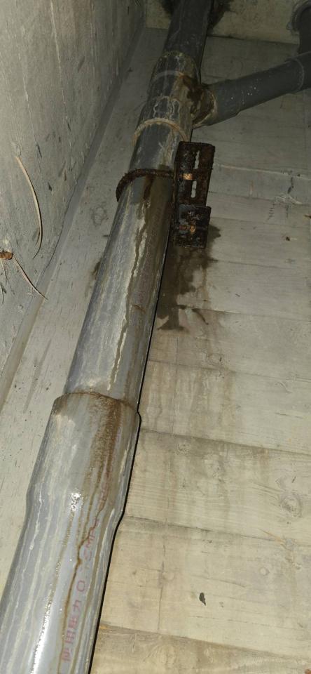 漏水鑑定案件圖片