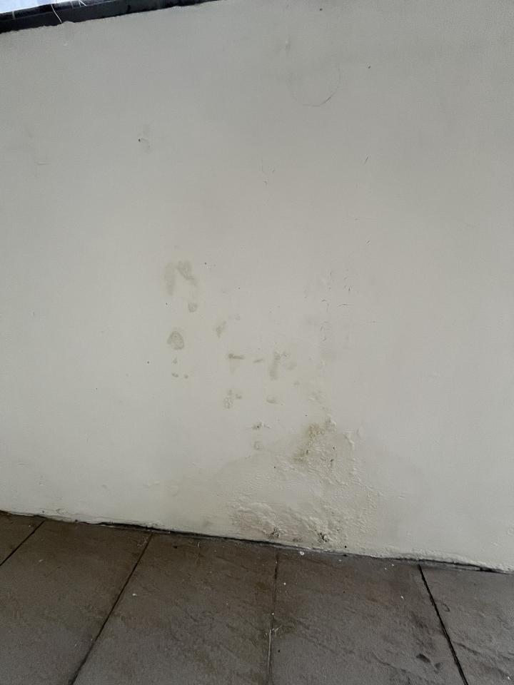 油漆工程案件圖片