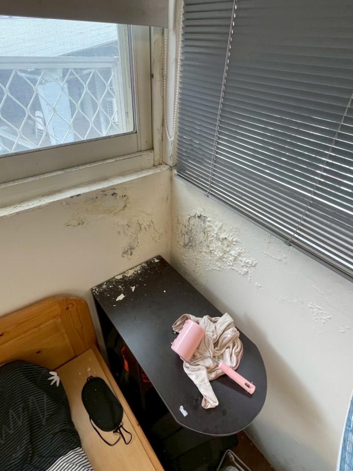 壁癌處理案件圖片