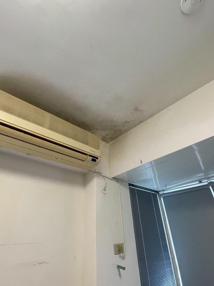 壁癌處理案件圖片