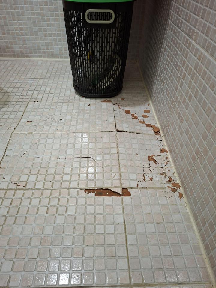 泥作/水泥施工案件圖片