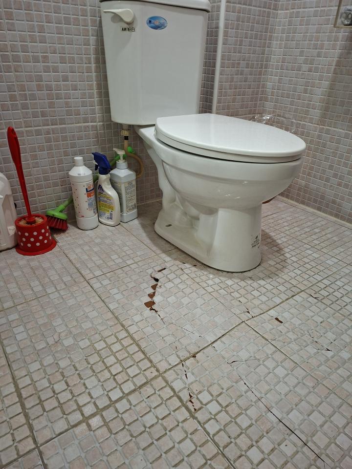 泥作/水泥施工案件圖片