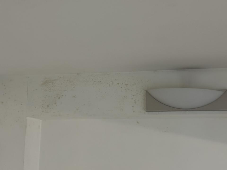 油漆工程案件圖片