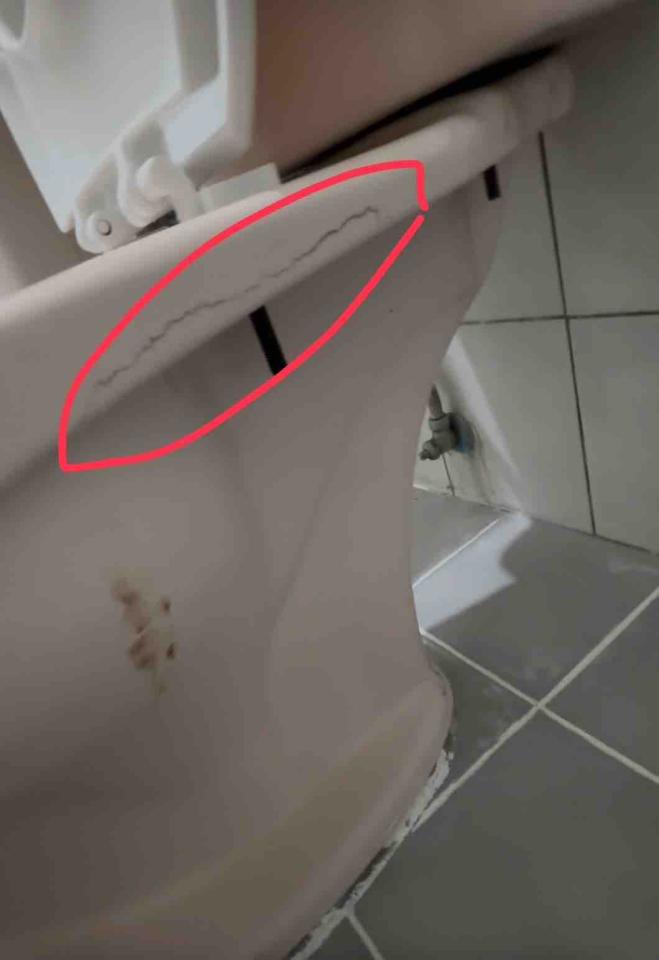 馬桶裝修案件圖片