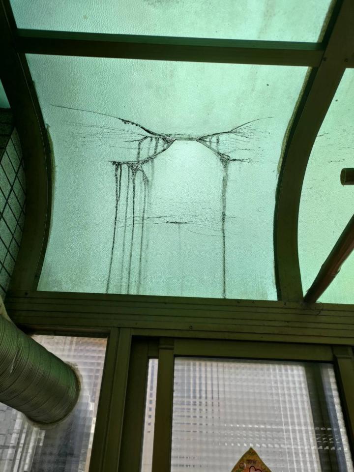 採光罩案件圖片