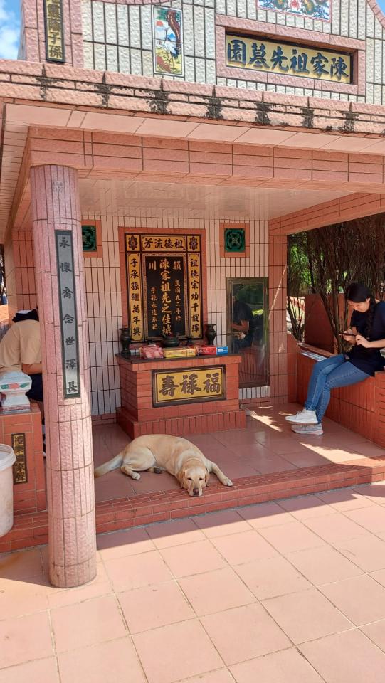 拆除工程案件圖片