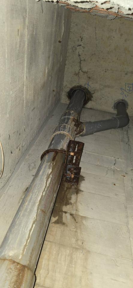 漏水鑑定案件圖片