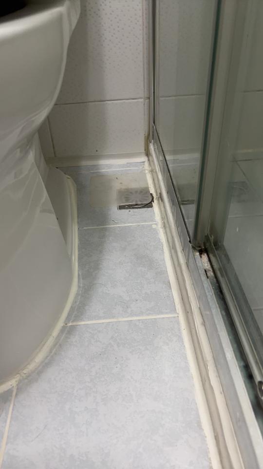 浴室翻新案件圖片