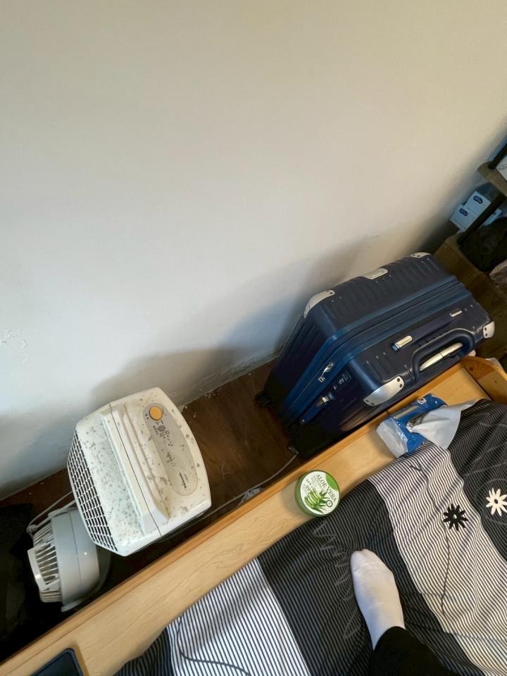 壁癌處理案件圖片