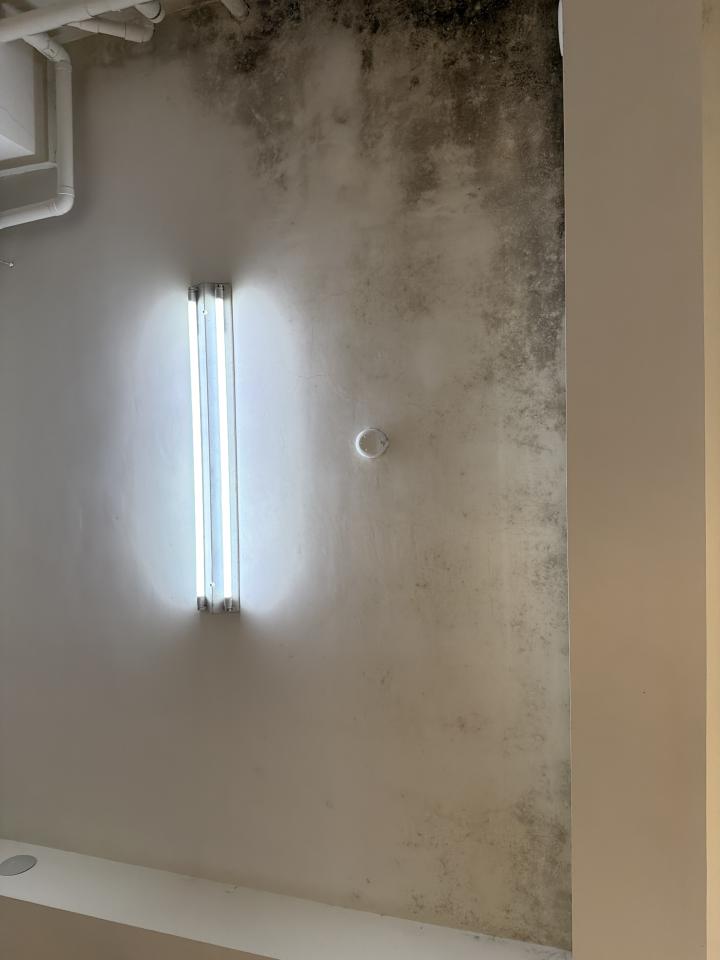 油漆工程案件圖片