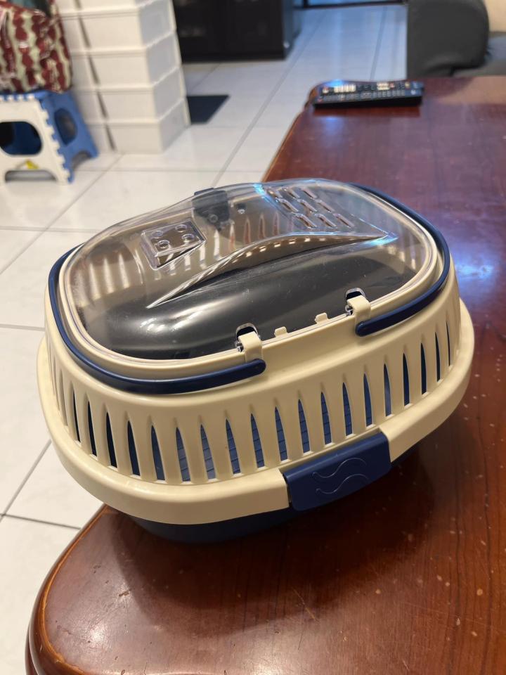 載貨運輸服務案件圖片