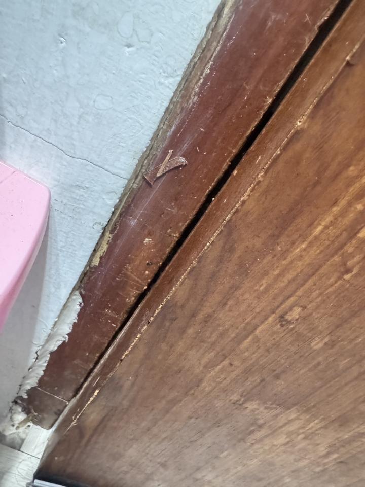 門片安裝案件圖片