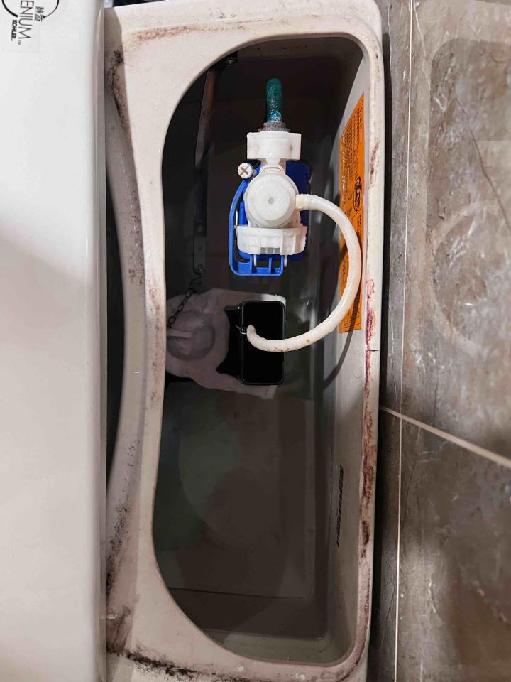 馬桶裝修案件圖片