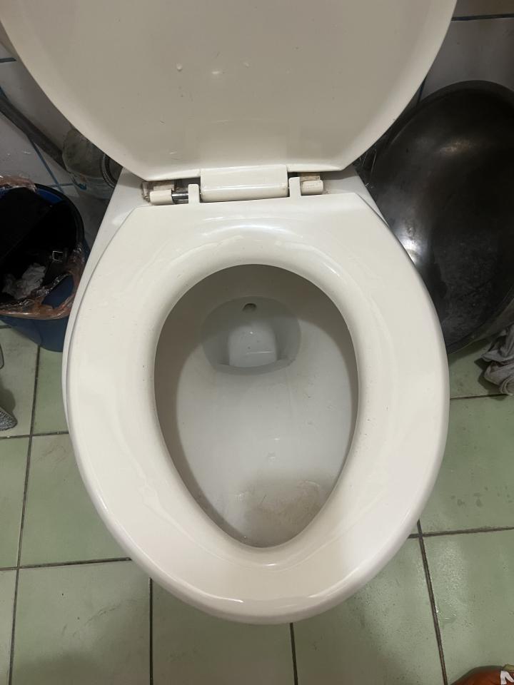 馬桶裝修案件圖片