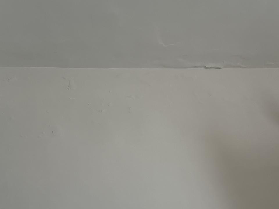 壁癌處理案件圖片