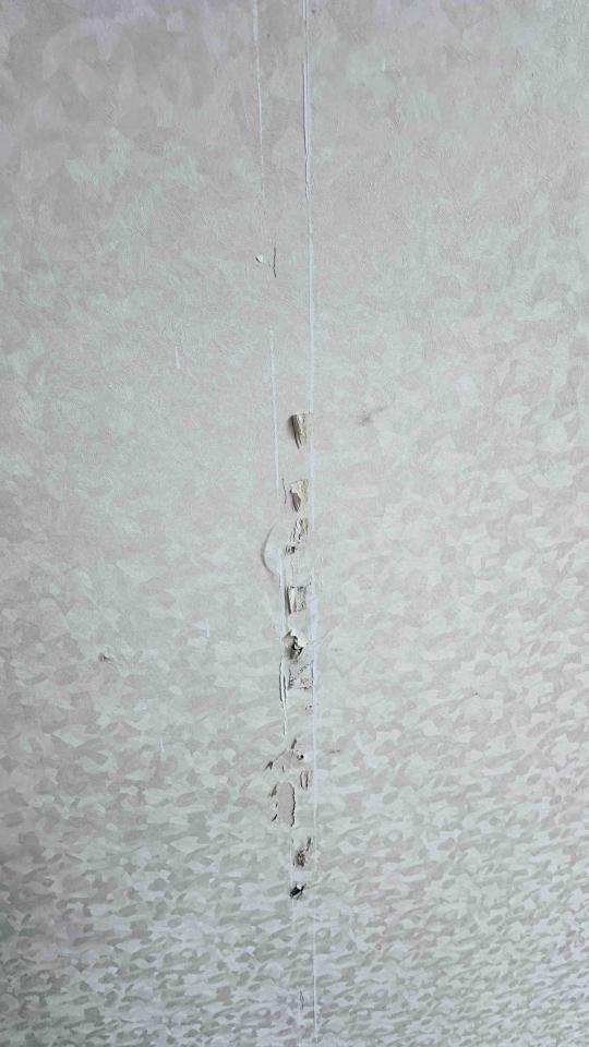 壁紙施工案件圖片