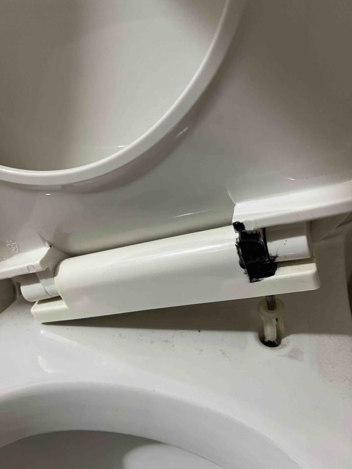 馬桶裝修案件圖片