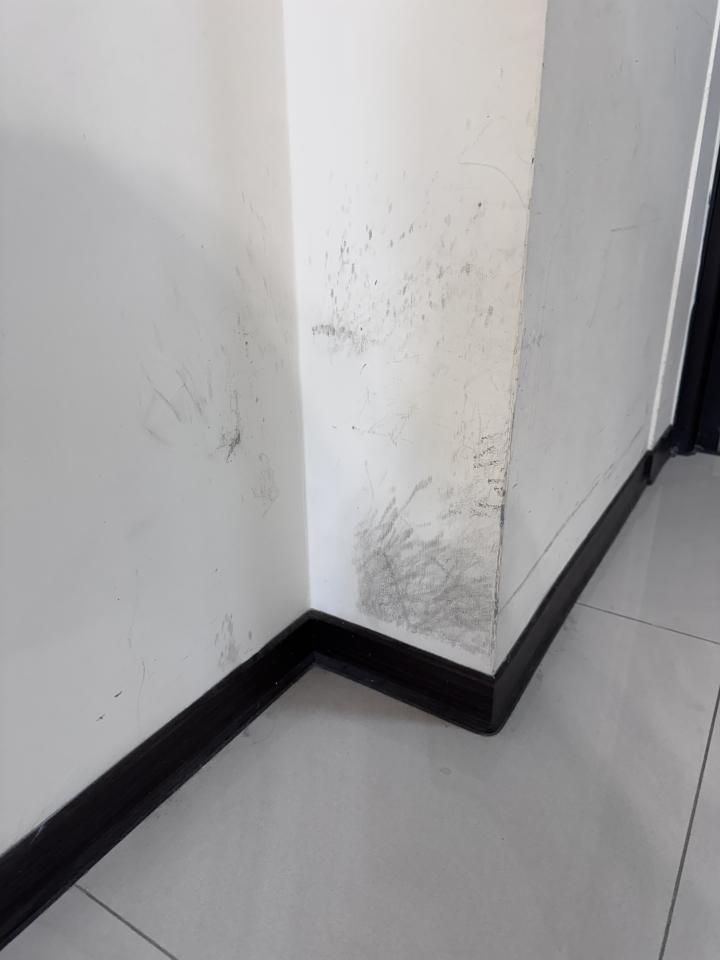 油漆工程案件圖片