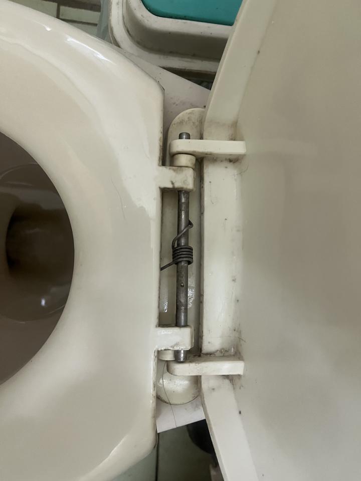 馬桶裝修案件圖片