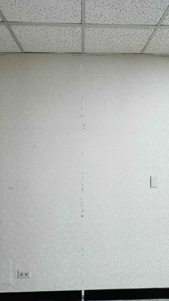 壁紙施工案件圖片