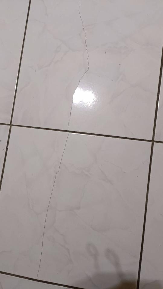 磁磚修補案件圖片