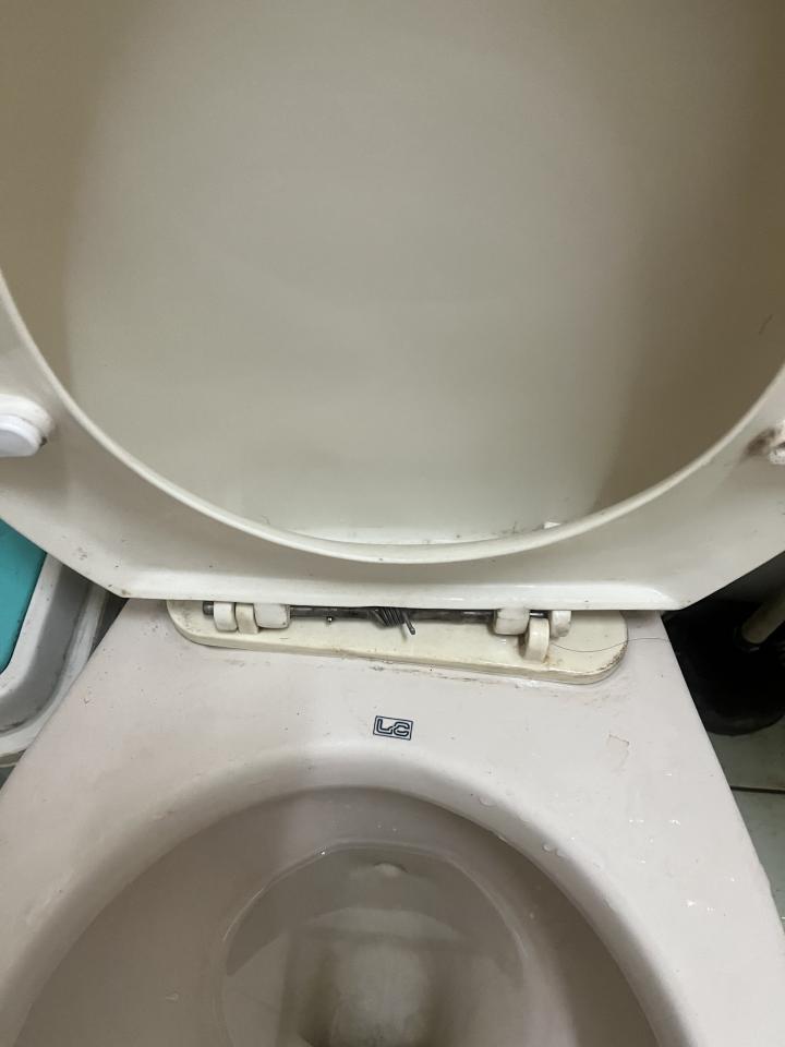 馬桶裝修案件圖片