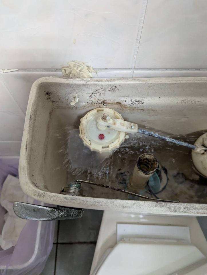 馬桶裝修案件圖片