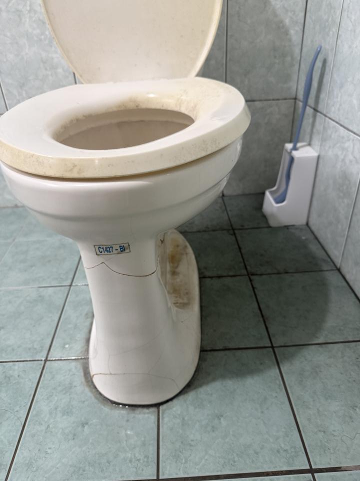 馬桶裝修案件圖片