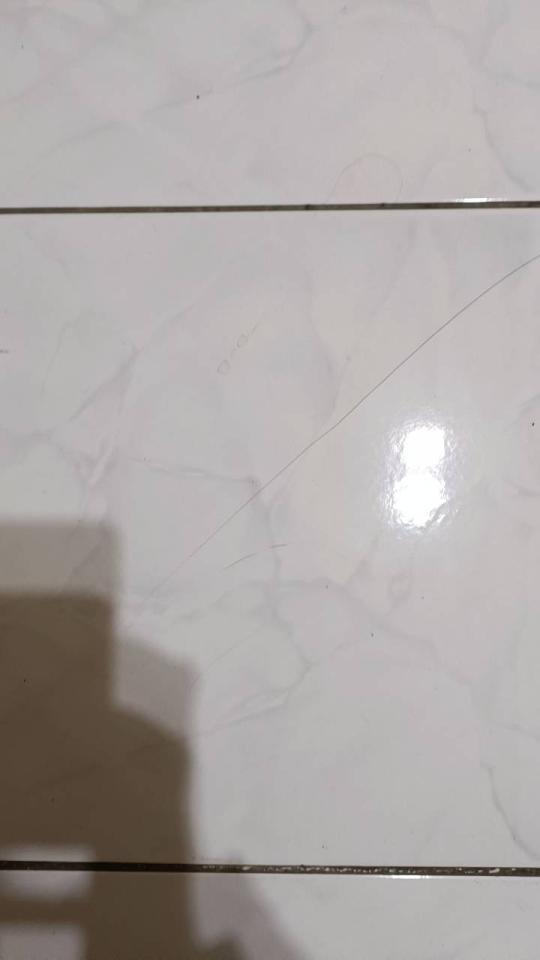 磁磚修補案件圖片