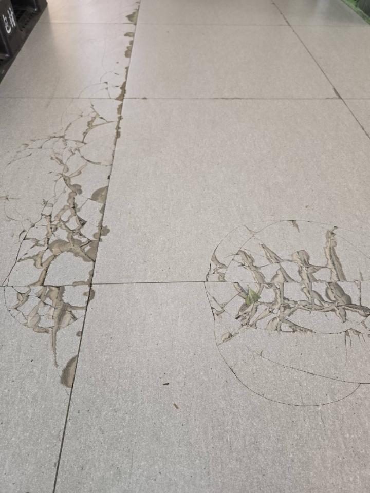 泥作/水泥施工案件圖片