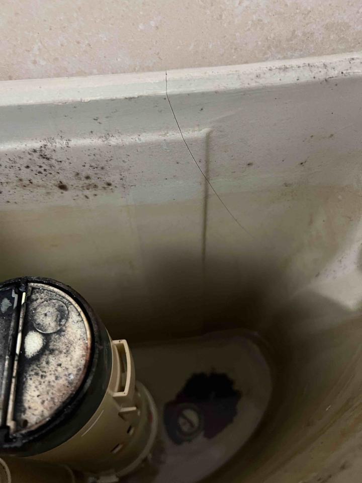 馬桶裝修案件圖片