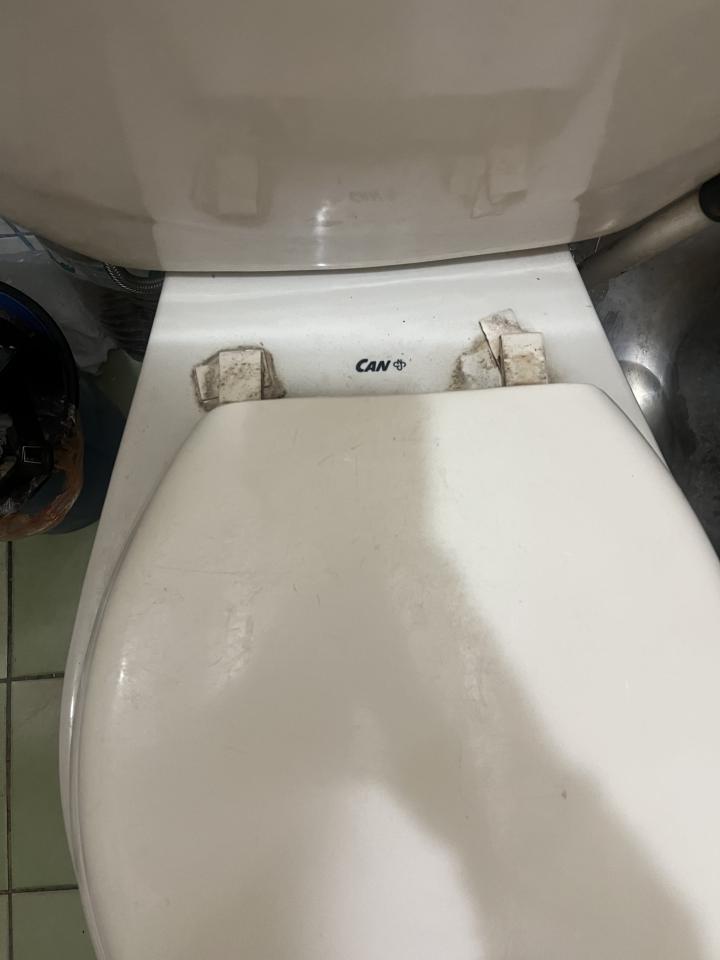 馬桶裝修案件圖片