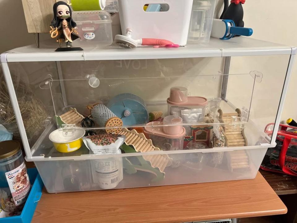 載貨運輸服務案件圖片