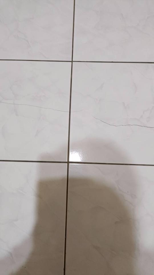 磁磚修補案件圖片