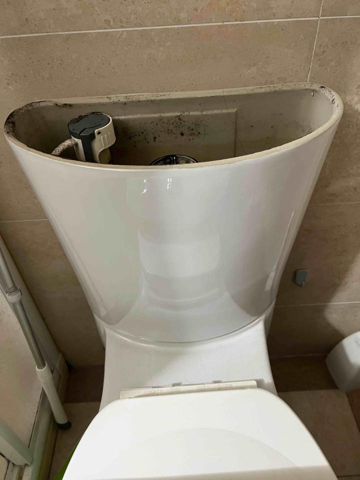 馬桶裝修案件圖片