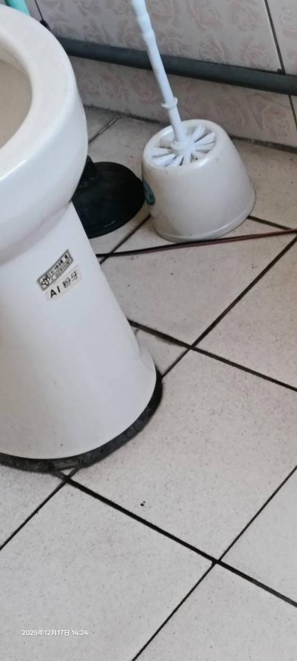 馬桶裝修案件圖片