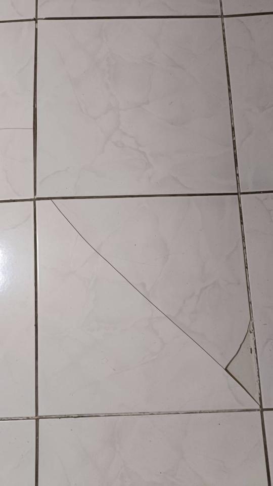 磁磚修補案件圖片