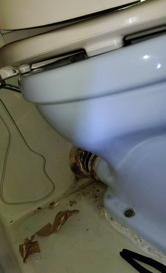 馬桶裝修案件圖片