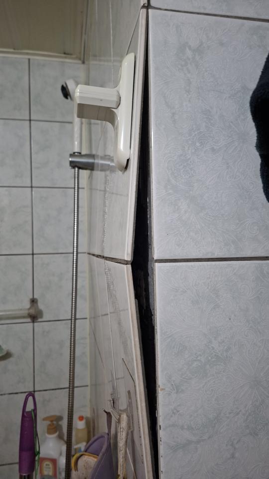 磁磚修補案件圖片