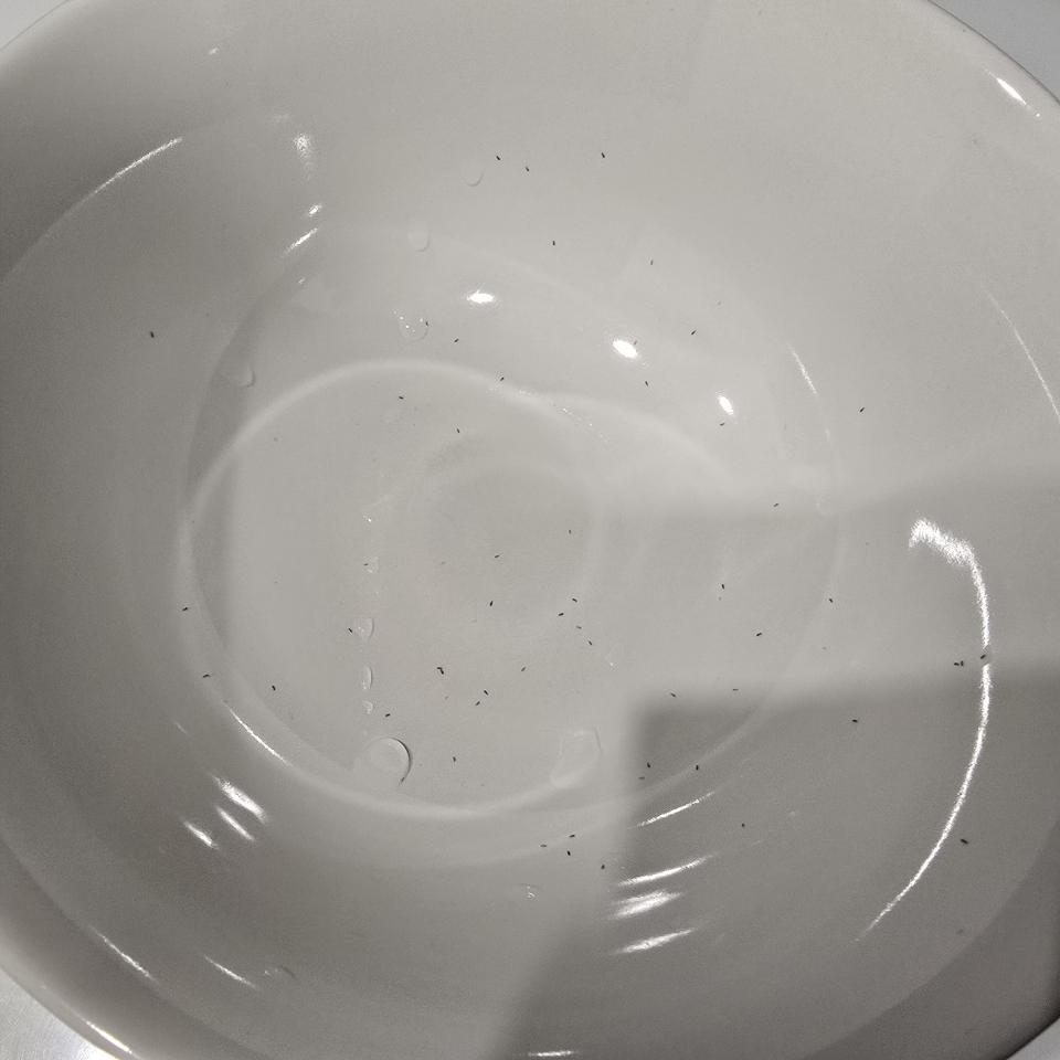 廚房清潔案件圖片