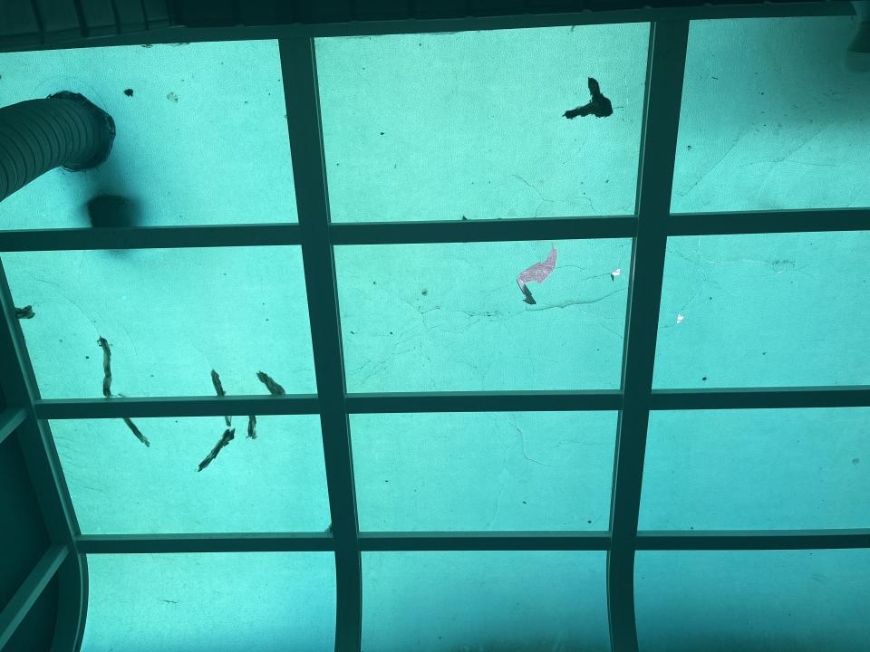 採光罩案件圖片