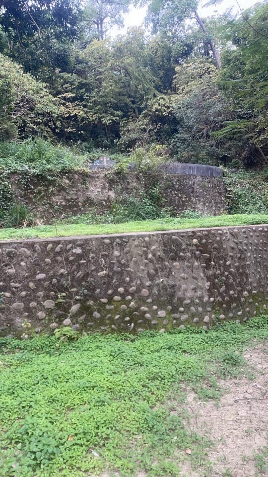 園藝維護案件圖片