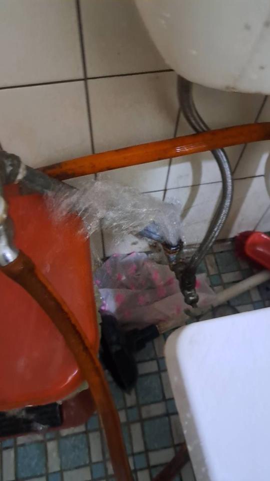 馬桶裝修案件圖片