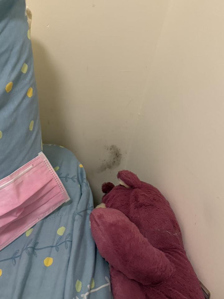 除霉案件圖片