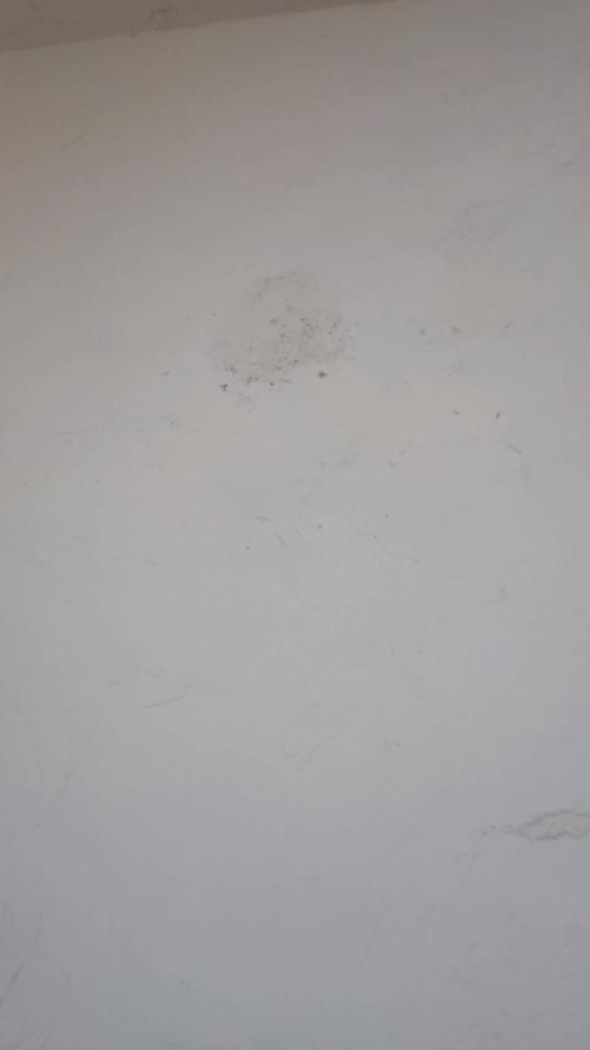 油漆工程案件圖片