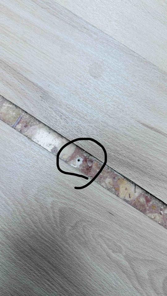 磁磚修補案件圖片