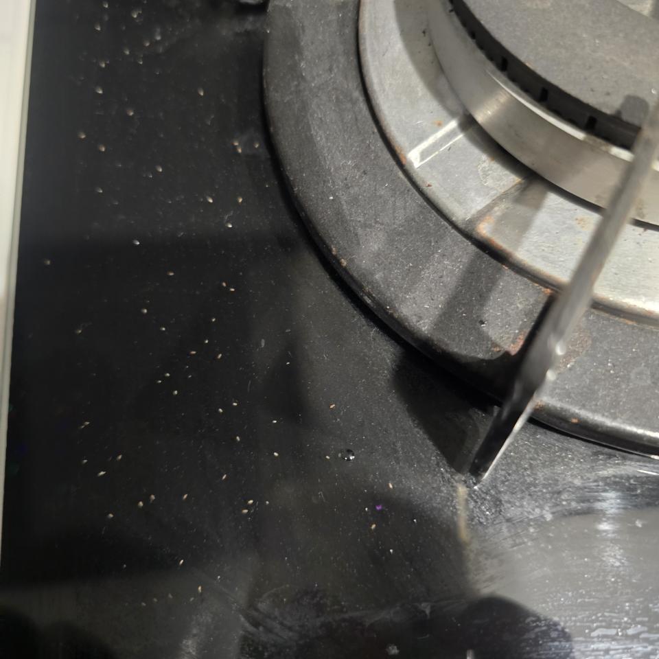 廚房清潔案件圖片